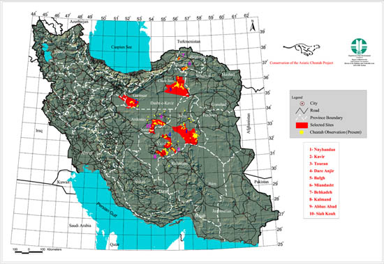 ِیوزپلنگ، نقشه ایران